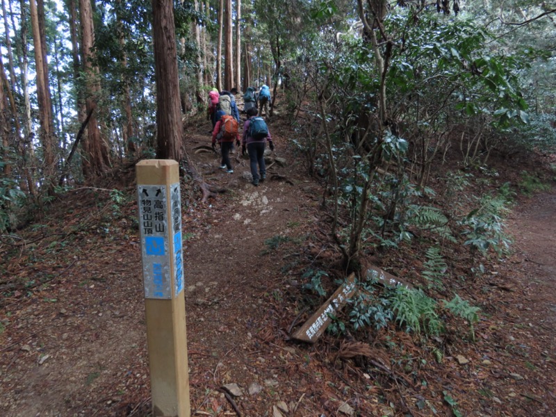 日和田山、物見山